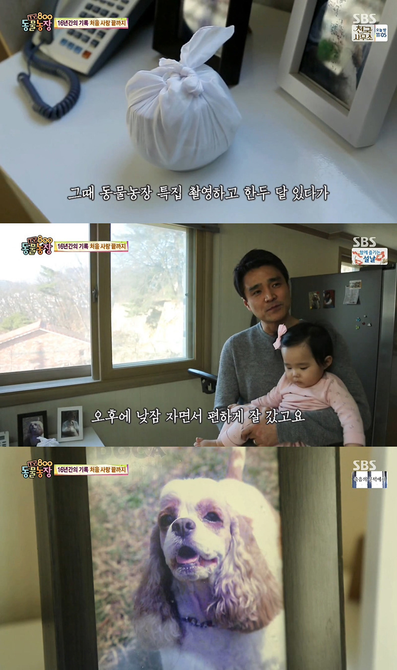 동물농장이-낳은-스타강아지-웅자,-그-후의-이야기-39-이미지