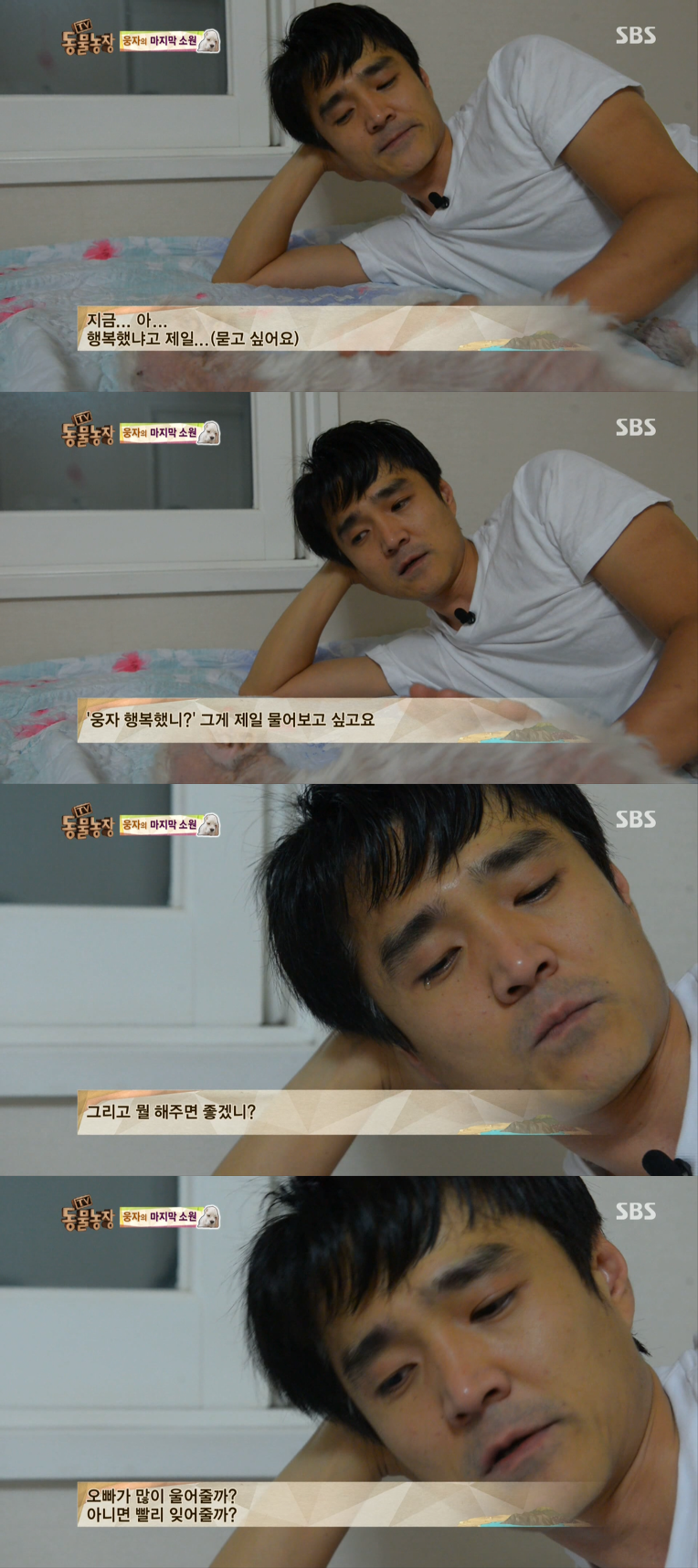 동물농장이-낳은-스타강아지-웅자,-그-후의-이야기-20-이미지