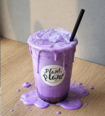 해외에서-말차-다음이라는-말까지-나올-만큼-핫하고-유럽은-1년-넘게-휩쓸고-있을-정도로-난리-났는데-한국은-이제서야-알려지고-있는-음식-2-이미지