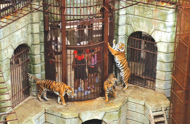 아가들은-잘-모르는-우리나라-역대급-서바이벌-프로그램-6-이미지