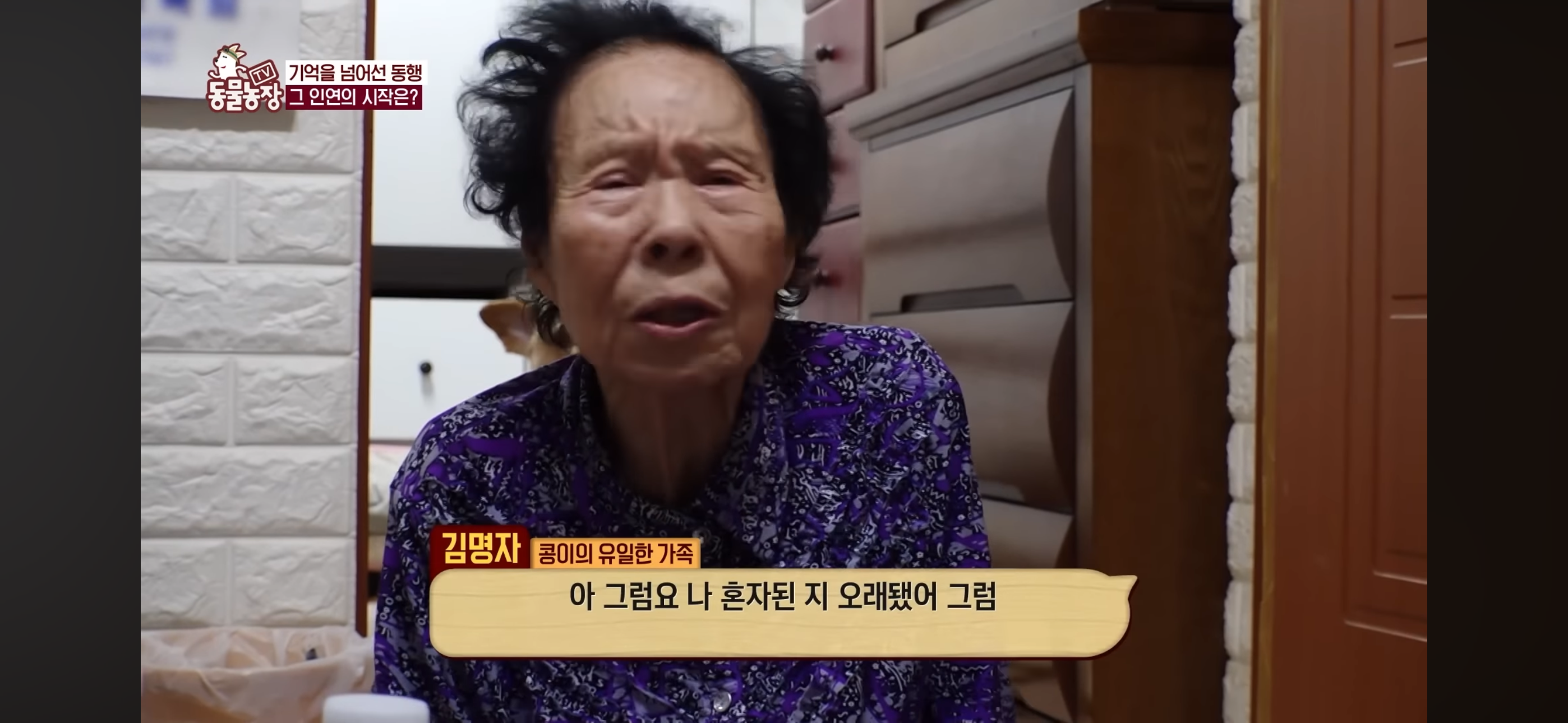 [동물농장]-87세-할머니가-병원-치료를-거부한-이유-36-이미지