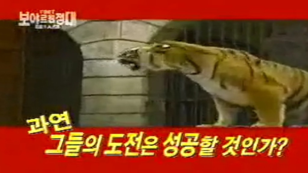 아가들은-잘-모르는-우리나라-역대급-서바이벌-프로그램-8-이미지