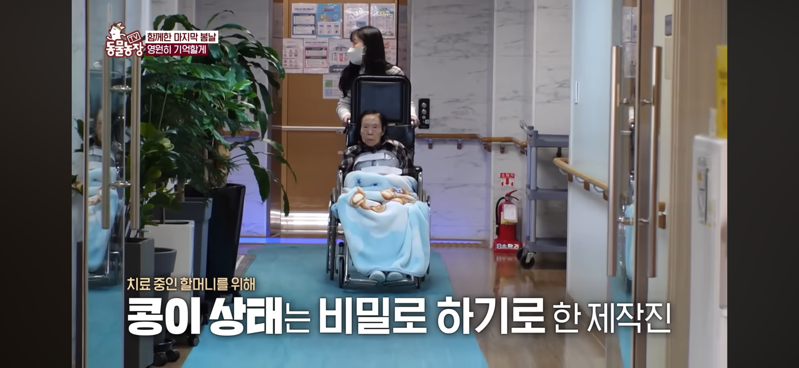 [동물농장]-87세-할머니가-병원-치료를-거부한-이유-92-이미지