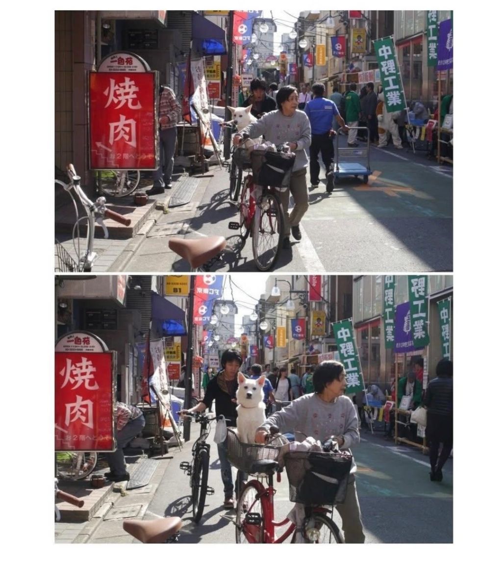 어떤-강아지가-나를-아련하게-쳐다본다..-0-이미지