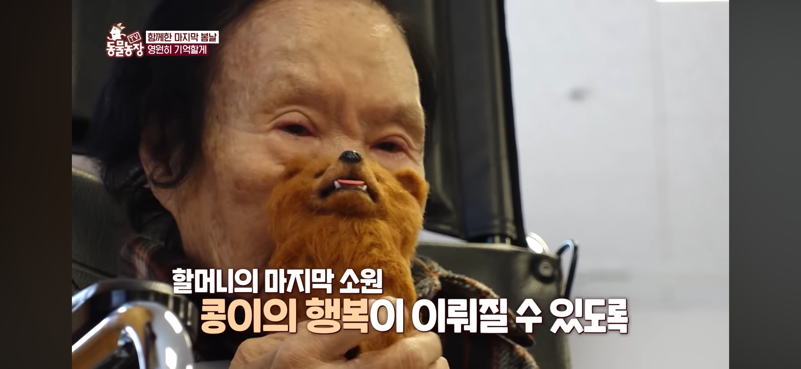 [동물농장]-87세-할머니가-병원-치료를-거부한-이유-98-이미지