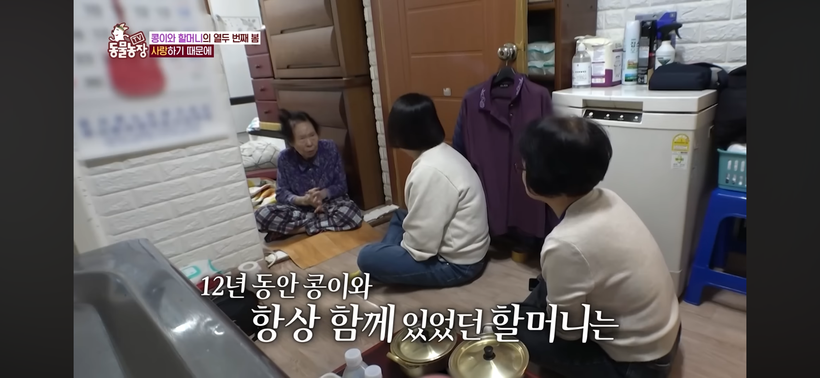 [동물농장]-87세-할머니가-병원-치료를-거부한-이유-55-이미지