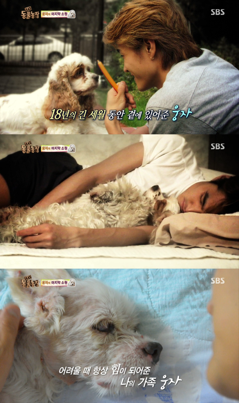 동물농장이-낳은-스타강아지-웅자,-그-후의-이야기-19-이미지