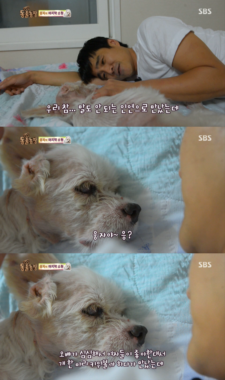 동물농장이-낳은-스타강아지-웅자,-그-후의-이야기-18-이미지