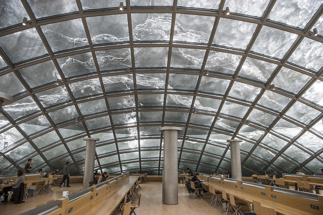 시카고대학의-new-&-old-도서관-4-이미지