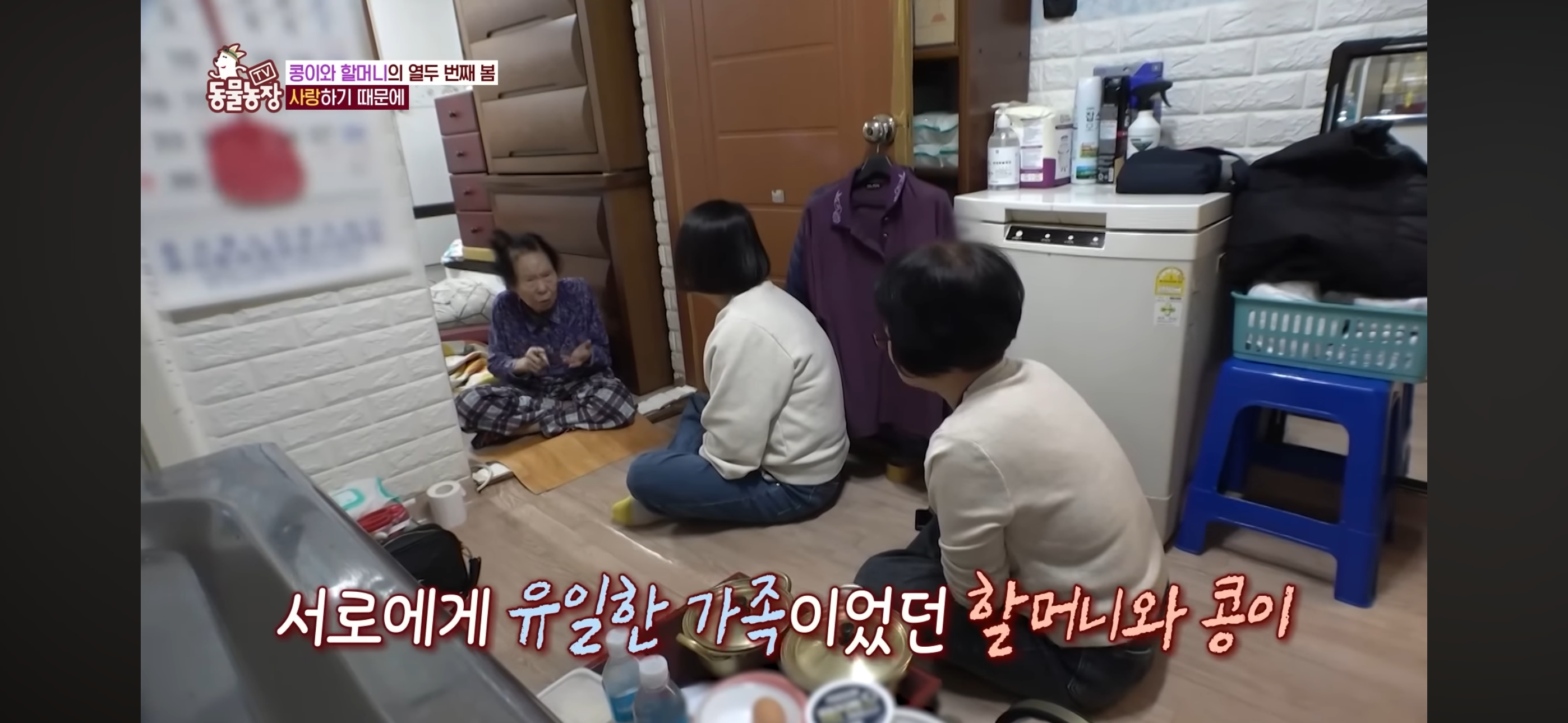 [동물농장]-87세-할머니가-병원-치료를-거부한-이유-54-이미지