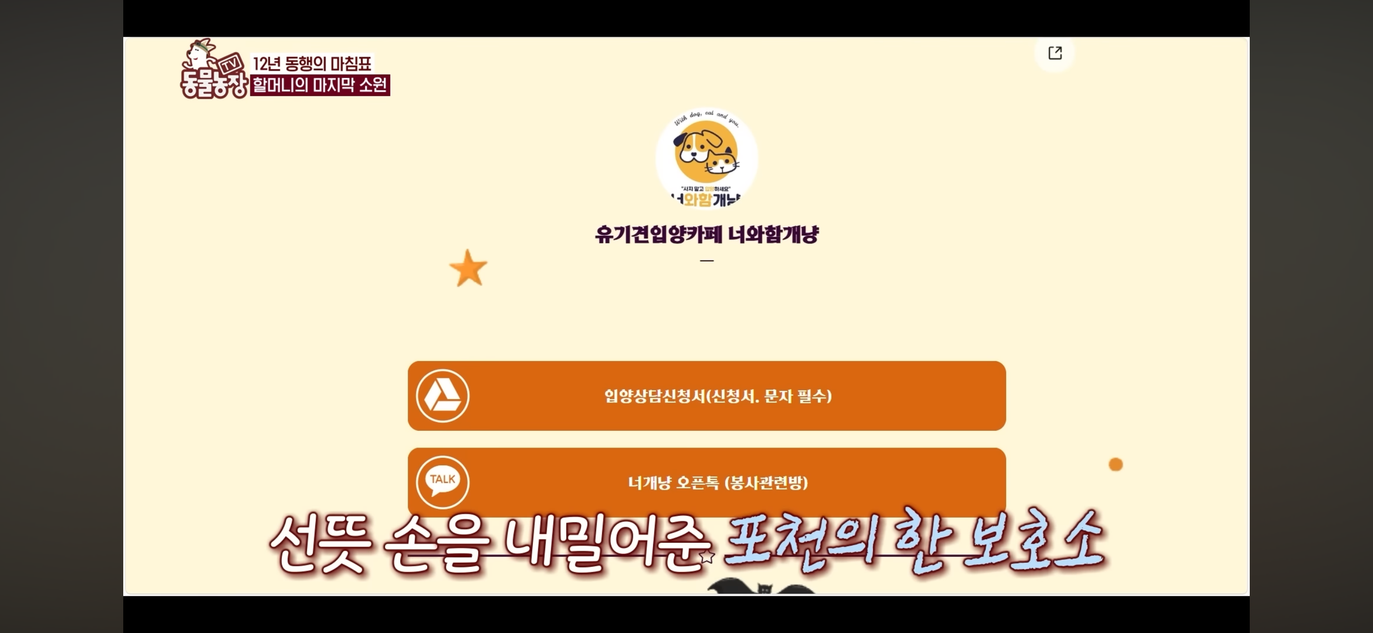 [동물농장]-87세-할머니가-병원-치료를-거부한-이유-83-이미지