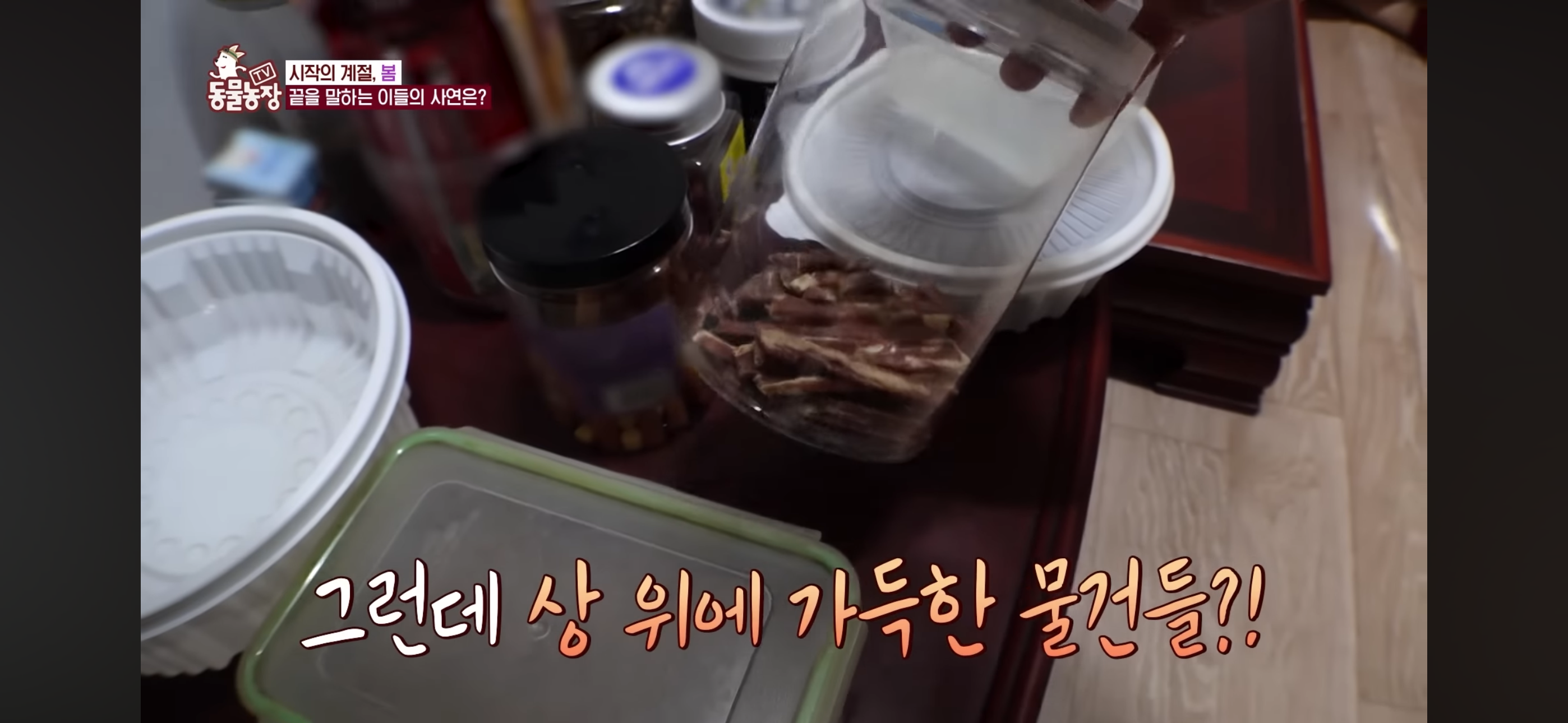 [동물농장]-87세-할머니가-병원-치료를-거부한-이유-12-이미지