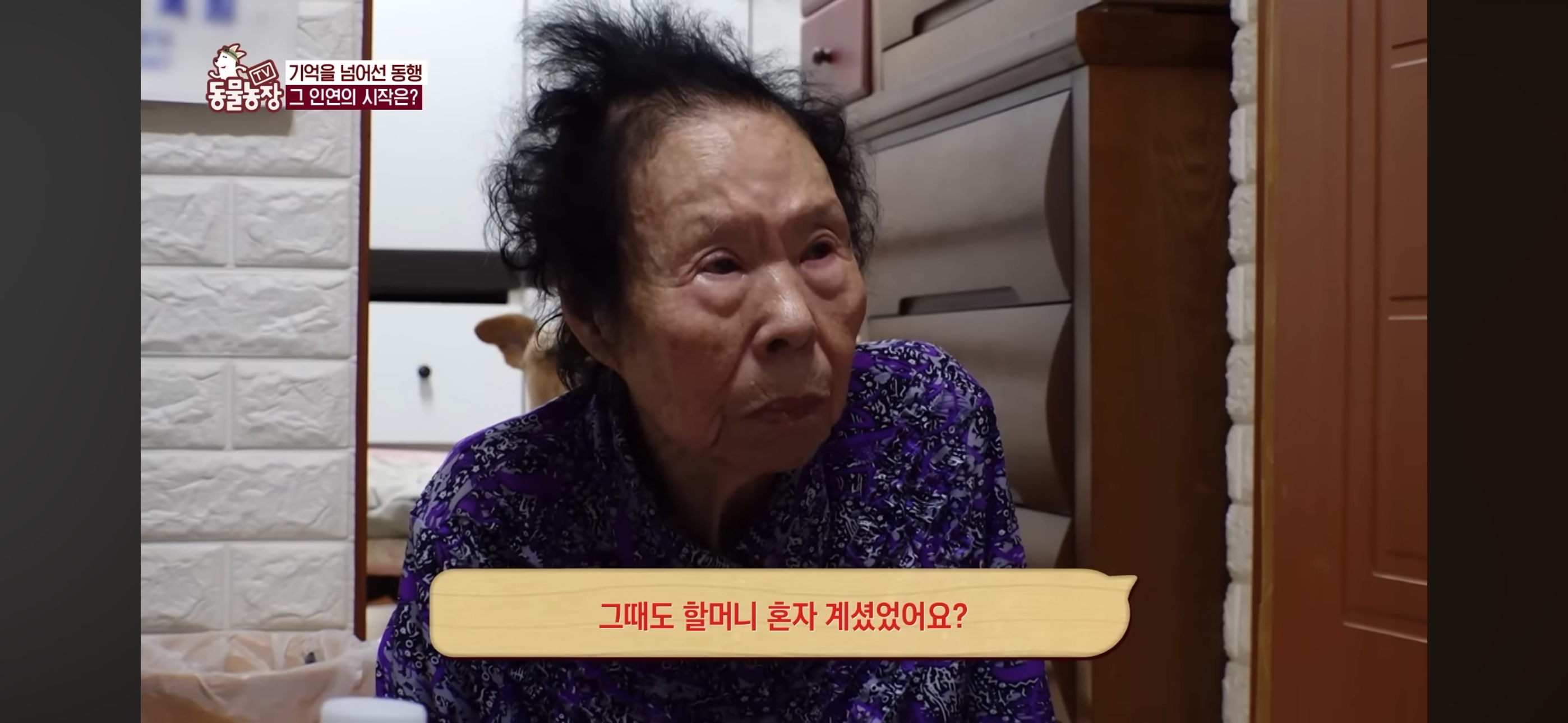 [동물농장]-87세-할머니가-병원-치료를-거부한-이유-35-이미지