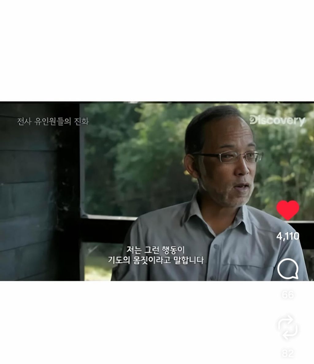 최근-종교를-가지기-시작한-침팬치들-2-이미지