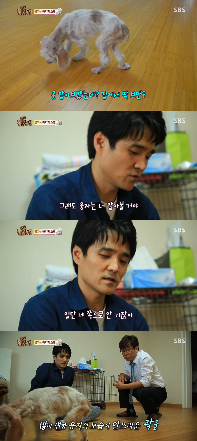 동물농장이-낳은-스타강아지-웅자,-그-후의-이야기-26-이미지