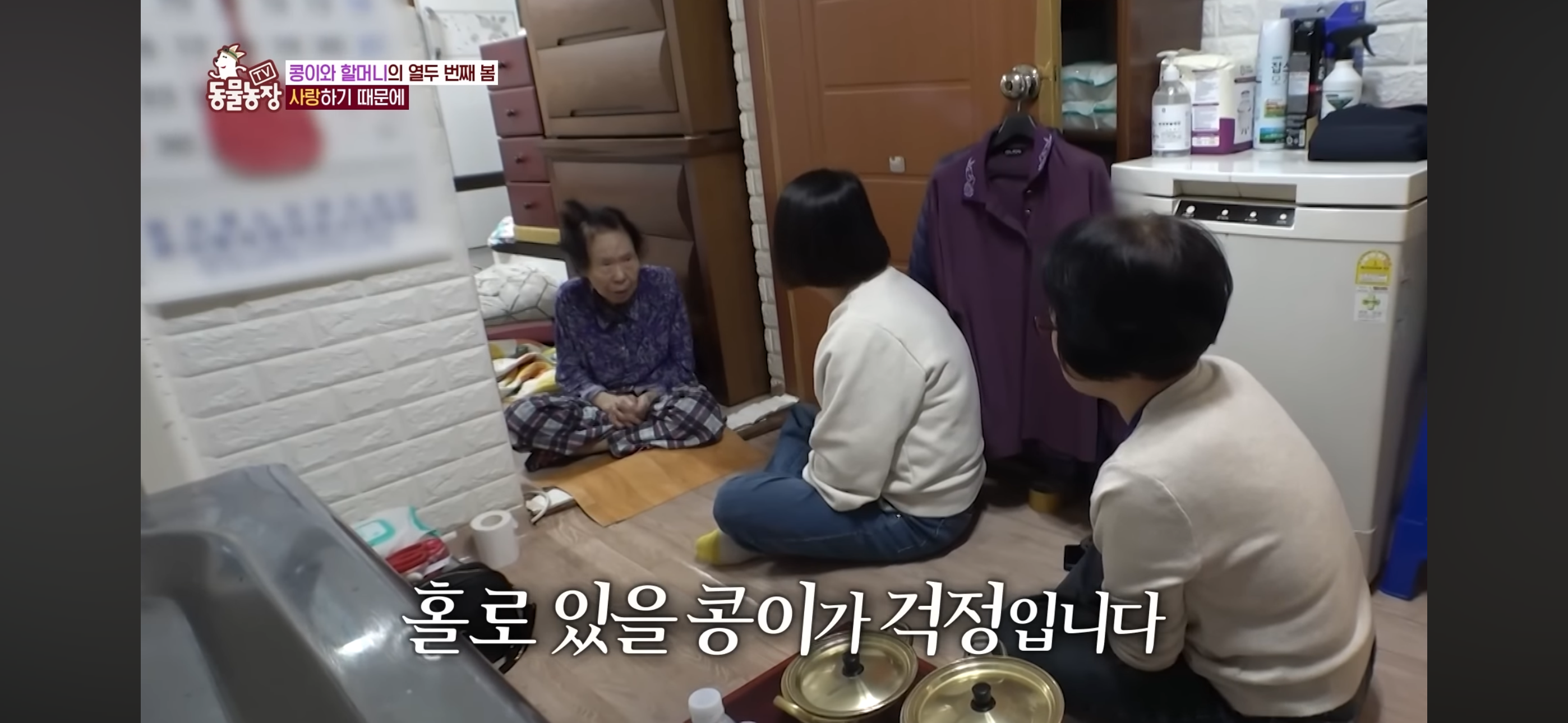 [동물농장]-87세-할머니가-병원-치료를-거부한-이유-56-이미지