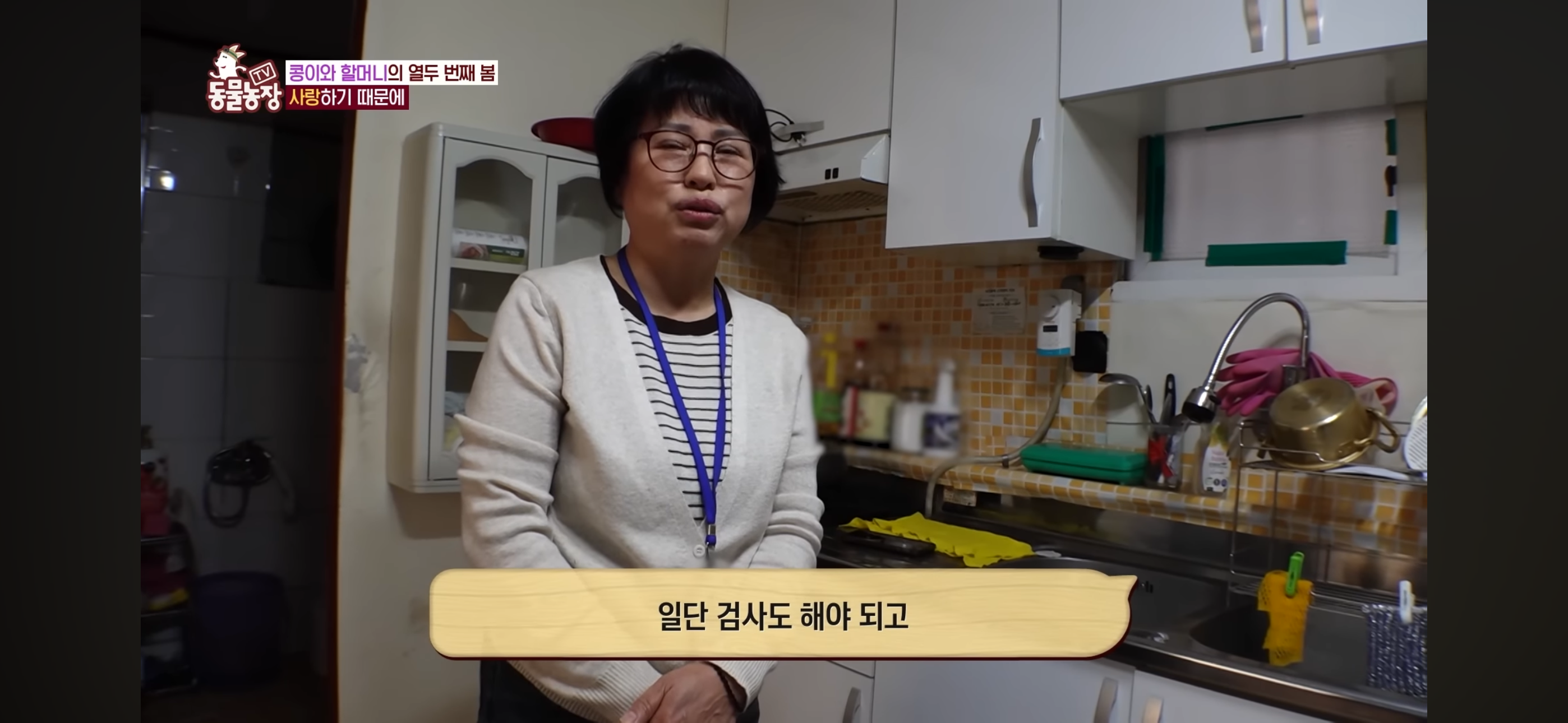 [동물농장]-87세-할머니가-병원-치료를-거부한-이유-45-이미지