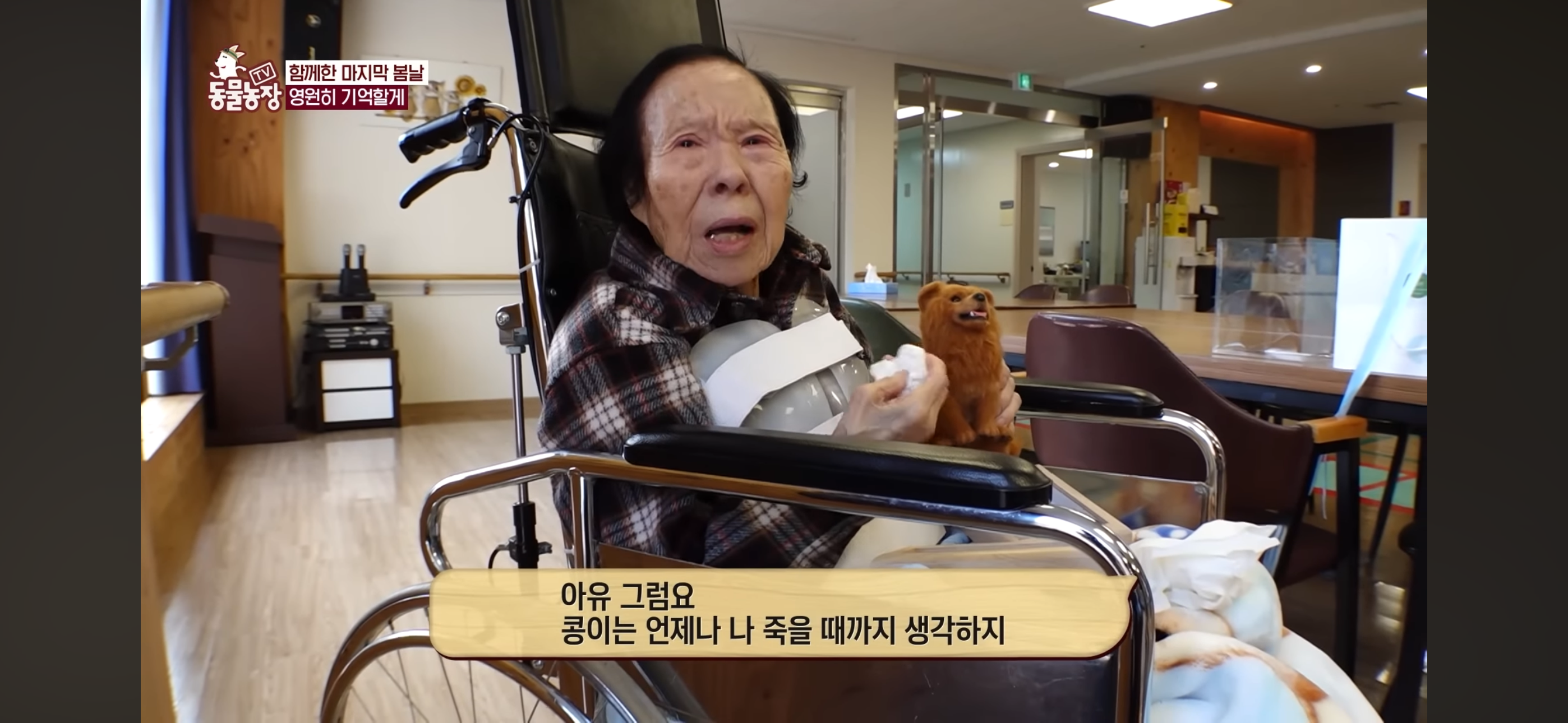 [동물농장]-87세-할머니가-병원-치료를-거부한-이유-97-이미지