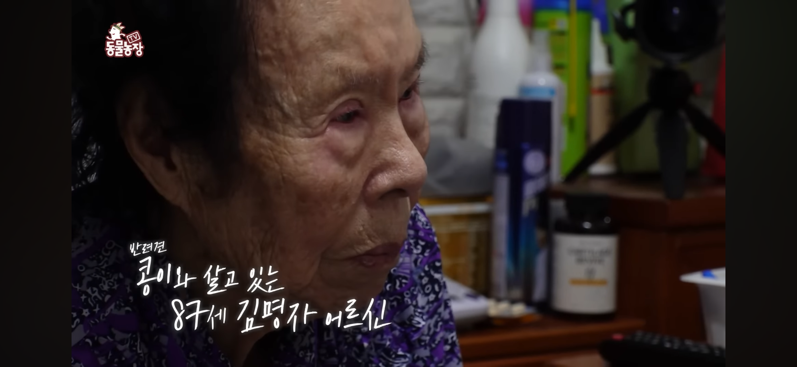 [동물농장]-87세-할머니가-병원-치료를-거부한-이유-1-이미지