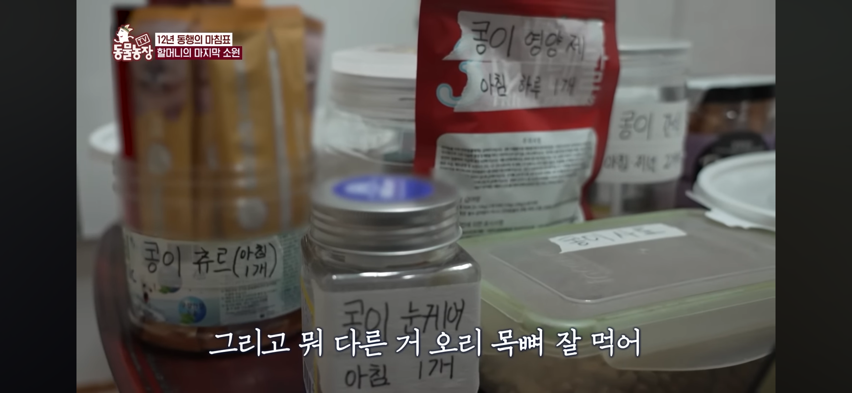 [동물농장]-87세-할머니가-병원-치료를-거부한-이유-76-이미지