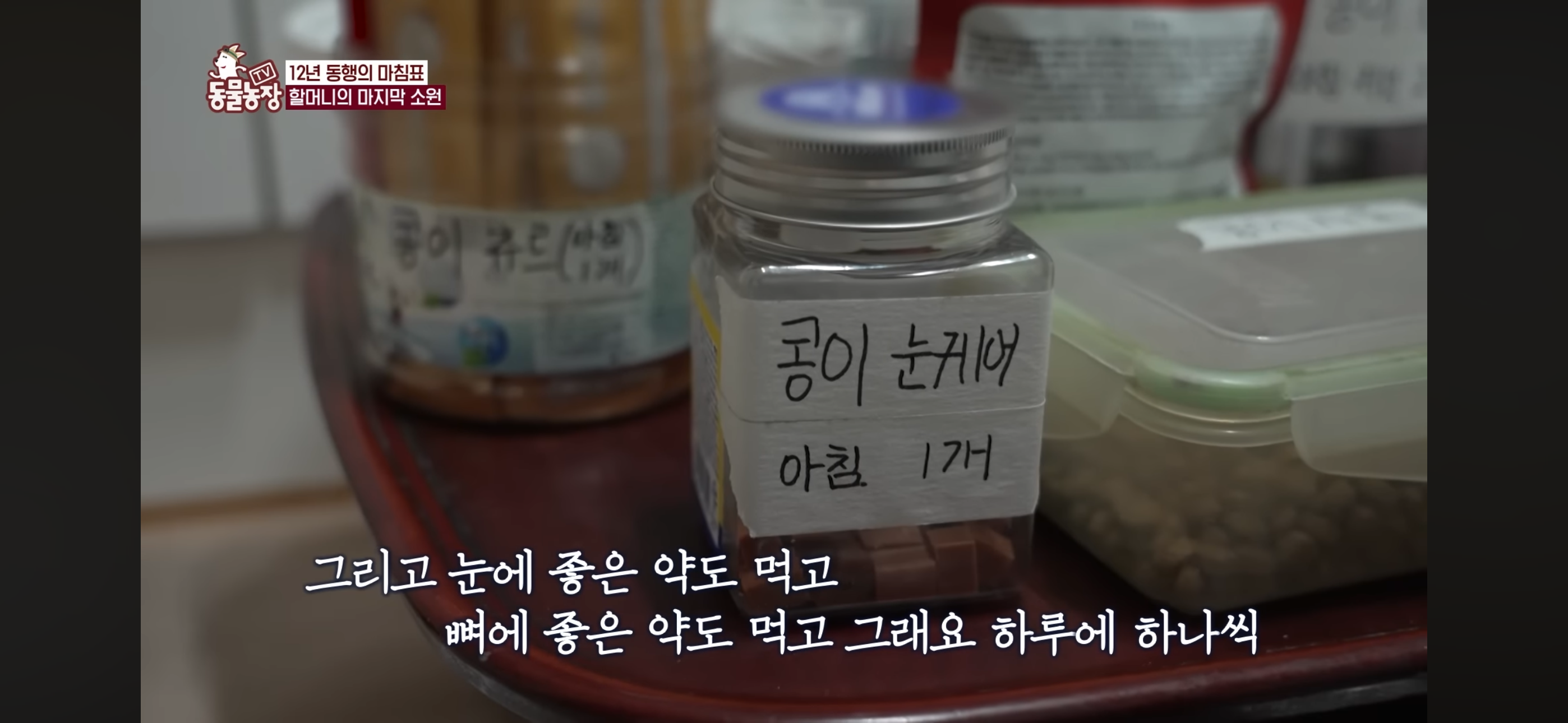 [동물농장]-87세-할머니가-병원-치료를-거부한-이유-75-이미지