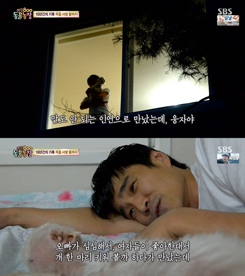 동물농장이-낳은-스타강아지-웅자,-그-후의-이야기-41-이미지