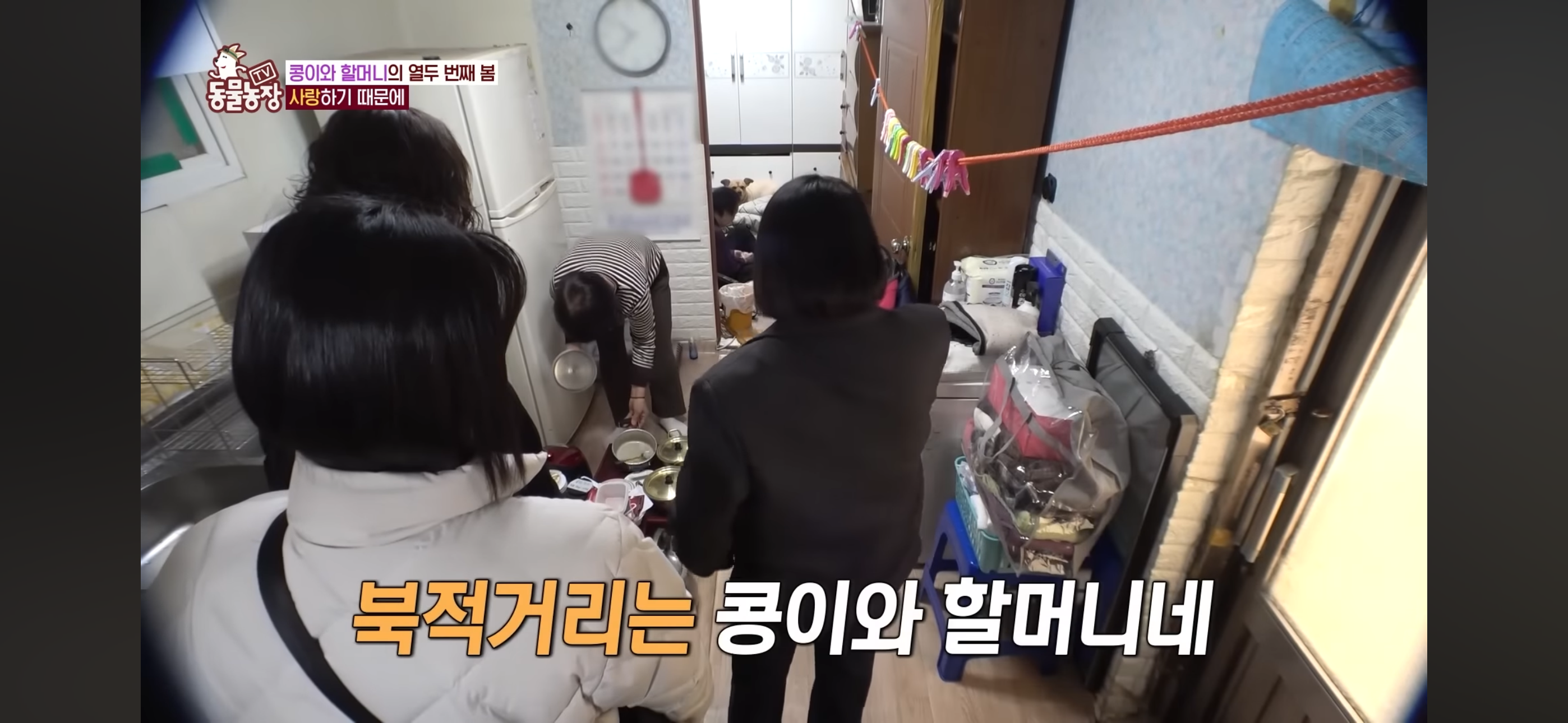 [동물농장]-87세-할머니가-병원-치료를-거부한-이유-41-이미지