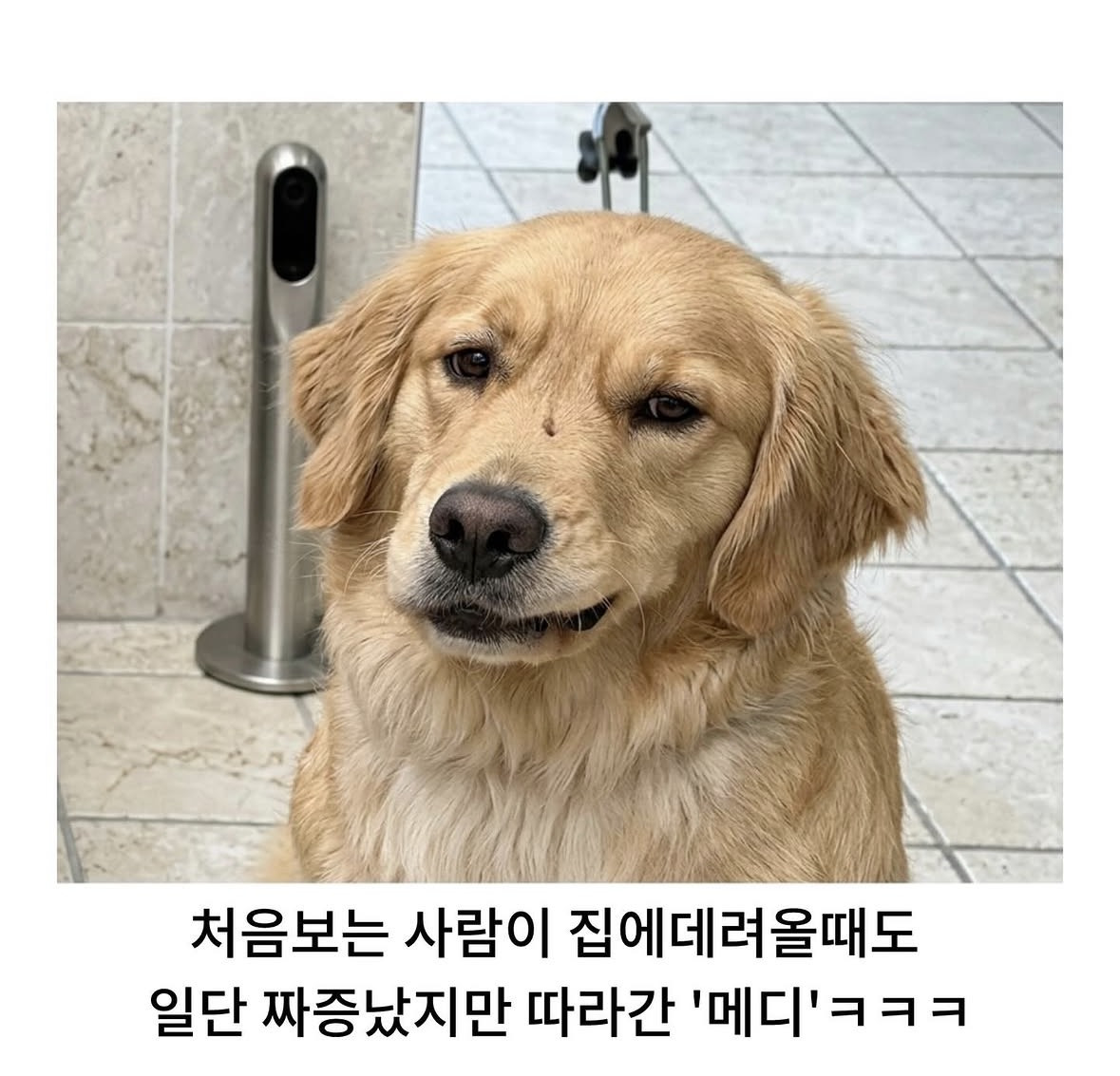 미용실-다녀온-후-사춘기-씨게-온-골댕이.jpg-8-이미지