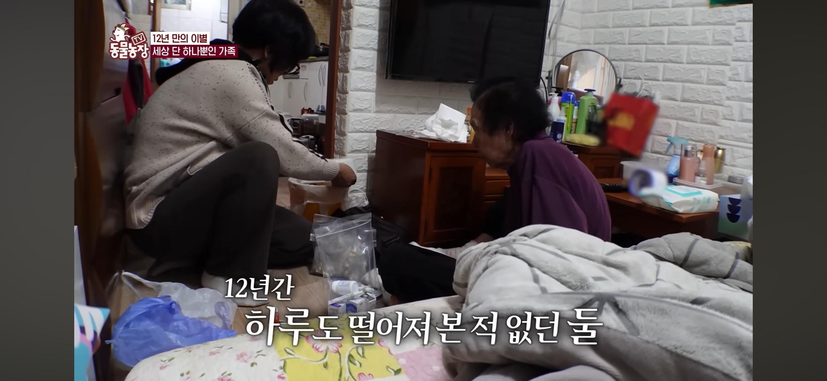 [동물농장]-87세-할머니가-병원-치료를-거부한-이유-61-이미지