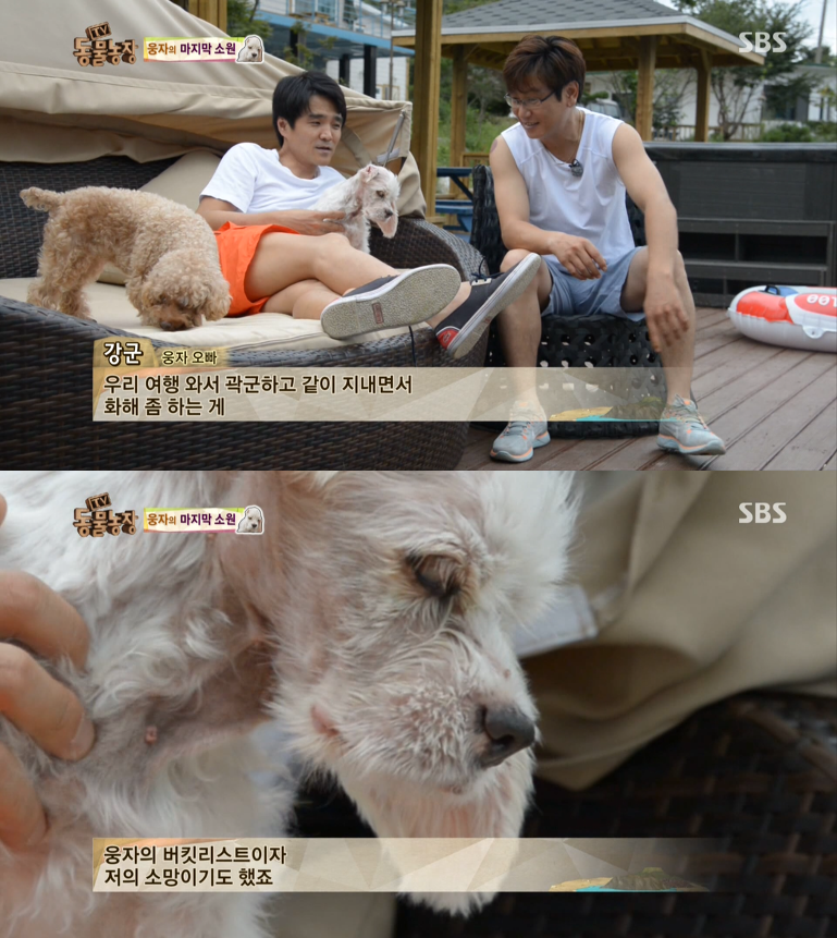 동물농장이-낳은-스타강아지-웅자,-그-후의-이야기-27-이미지