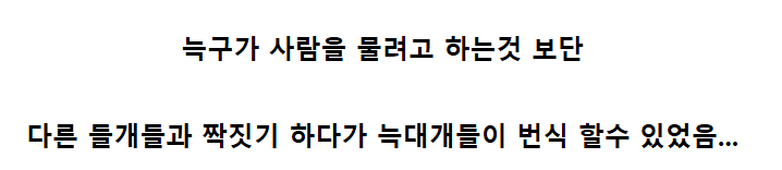 늑구를-빨리-찾으려고-그렇게-난리친-이유중-하나.jpg-1-이미지