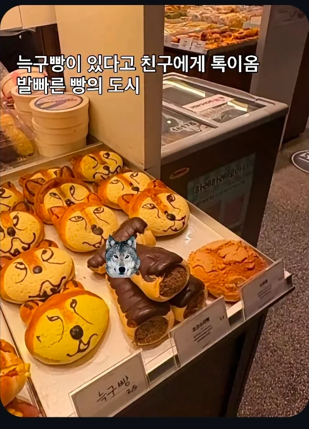 늑구로-물들어올때-노-젓는-대전-빵집-0-이미지