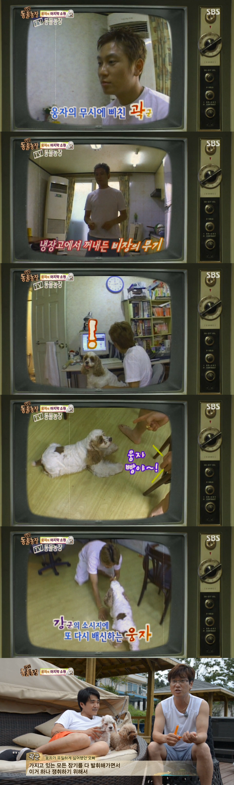 동물농장이-낳은-스타강아지-웅자,-그-후의-이야기-29-이미지