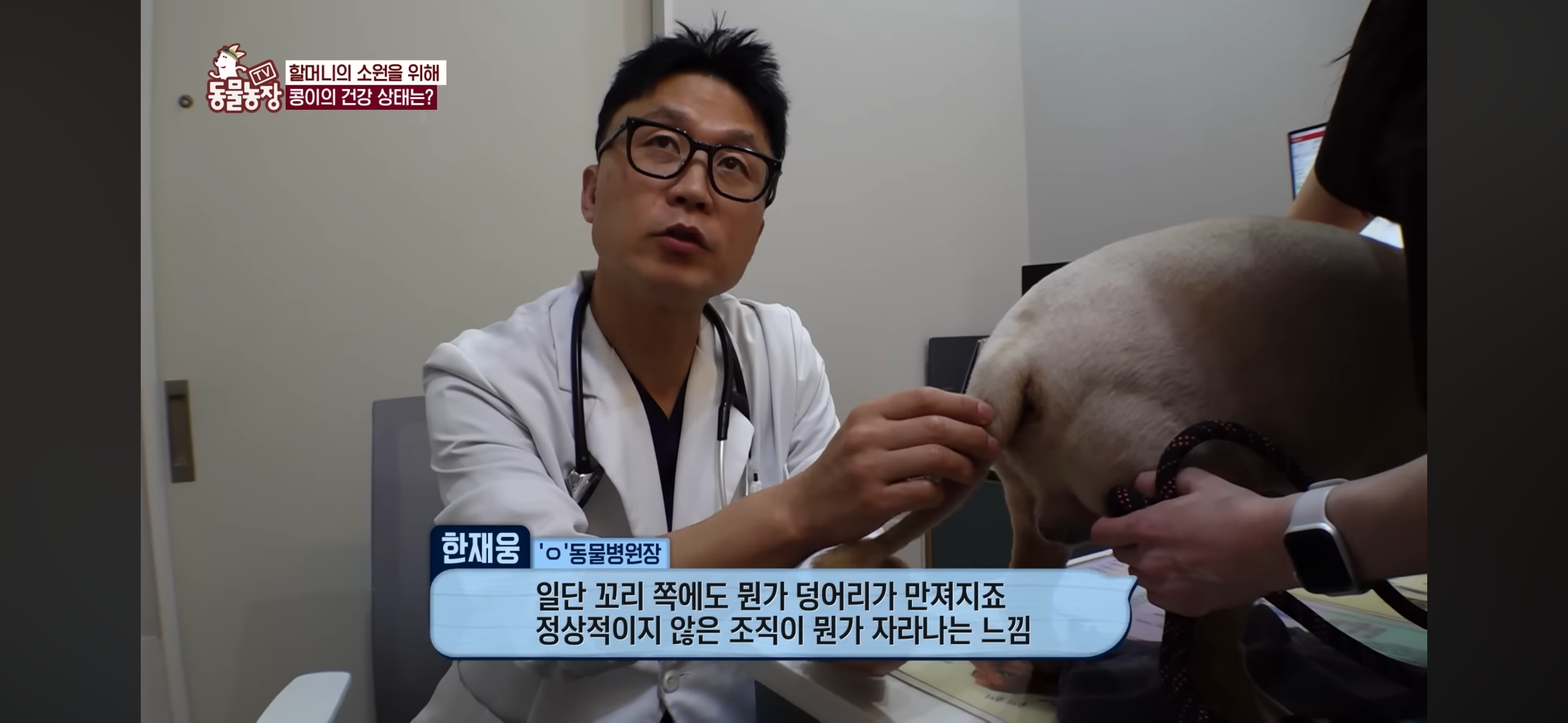 [동물농장]-87세-할머니가-병원-치료를-거부한-이유-87-이미지