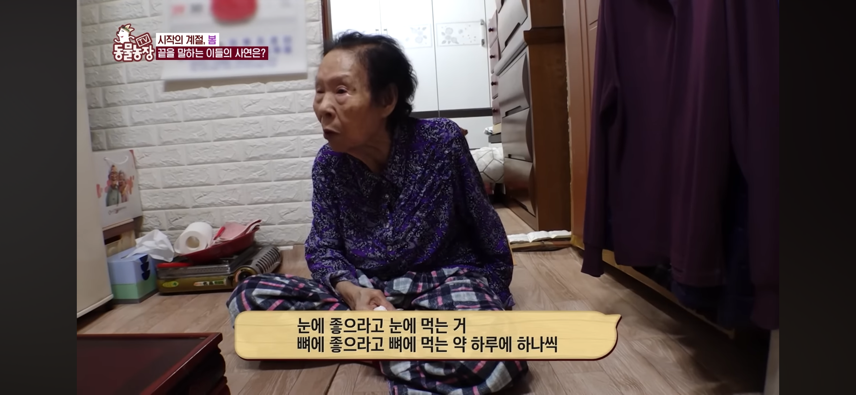 [동물농장]-87세-할머니가-병원-치료를-거부한-이유-13-이미지