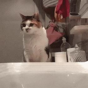 강제로-세수-당하는-고객님-0-이미지