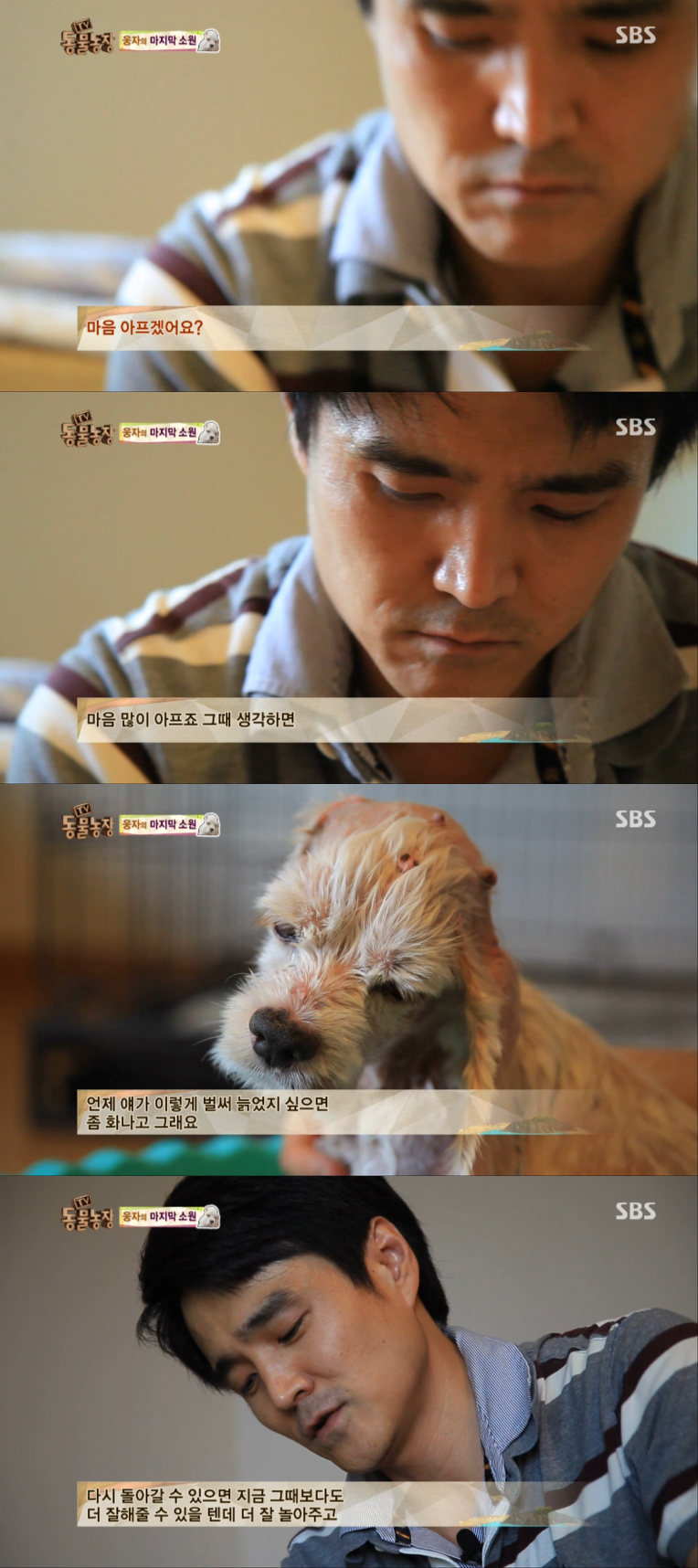 동물농장이-낳은-스타강아지-웅자,-그-후의-이야기-10-이미지