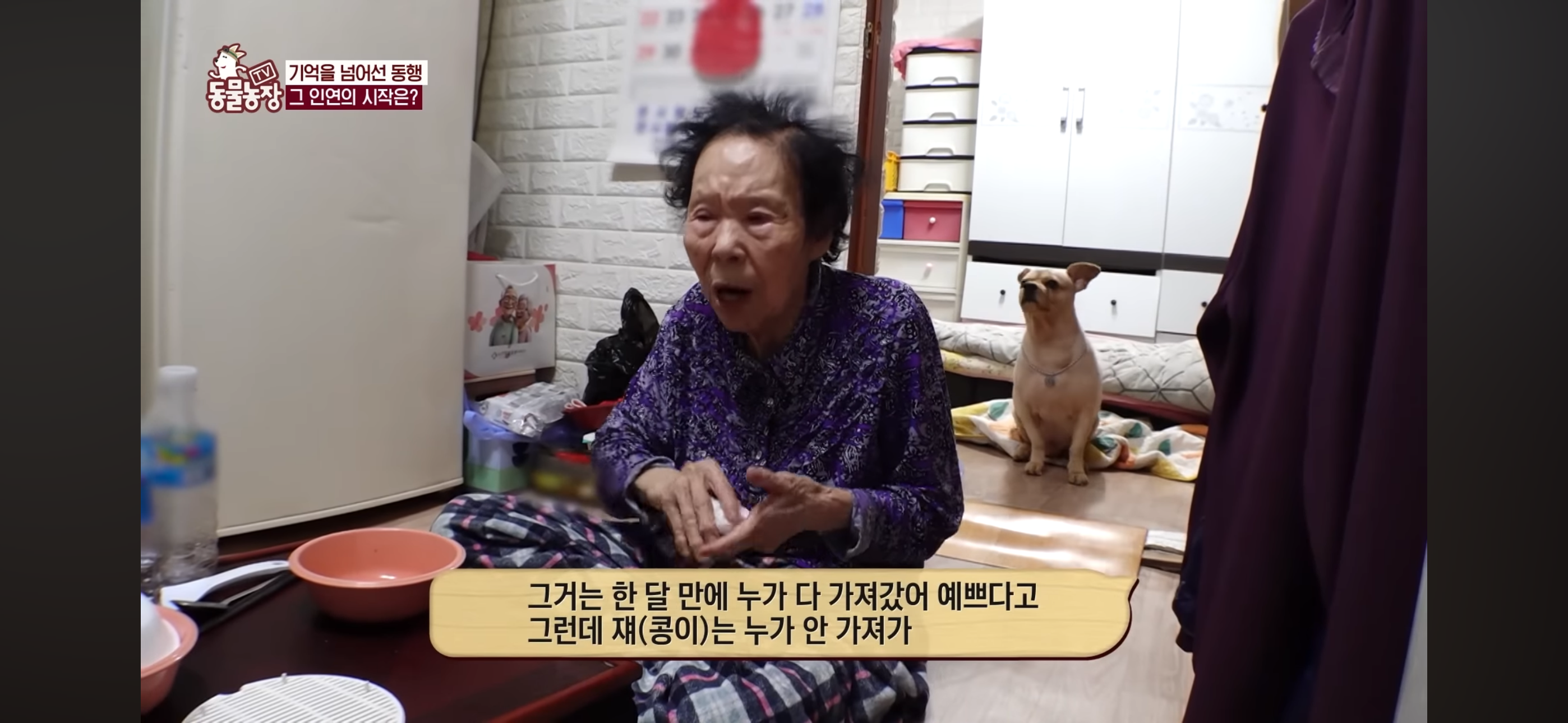 [동물농장]-87세-할머니가-병원-치료를-거부한-이유-30-이미지