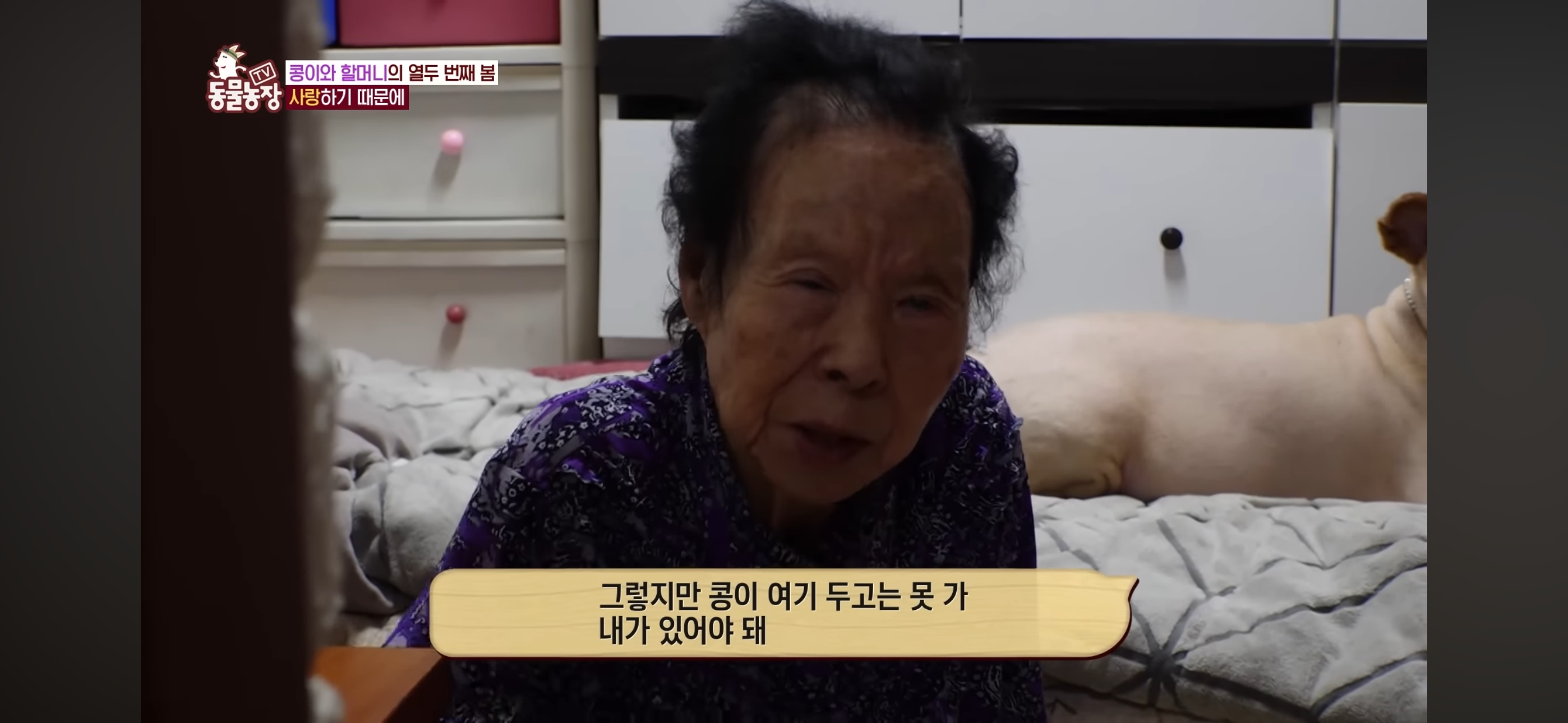[동물농장]-87세-할머니가-병원-치료를-거부한-이유-53-이미지