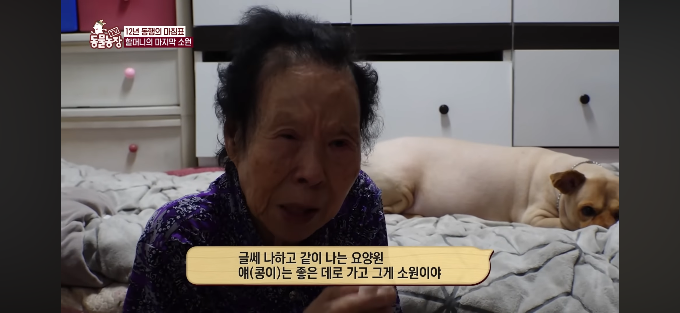 [동물농장]-87세-할머니가-병원-치료를-거부한-이유-70-이미지