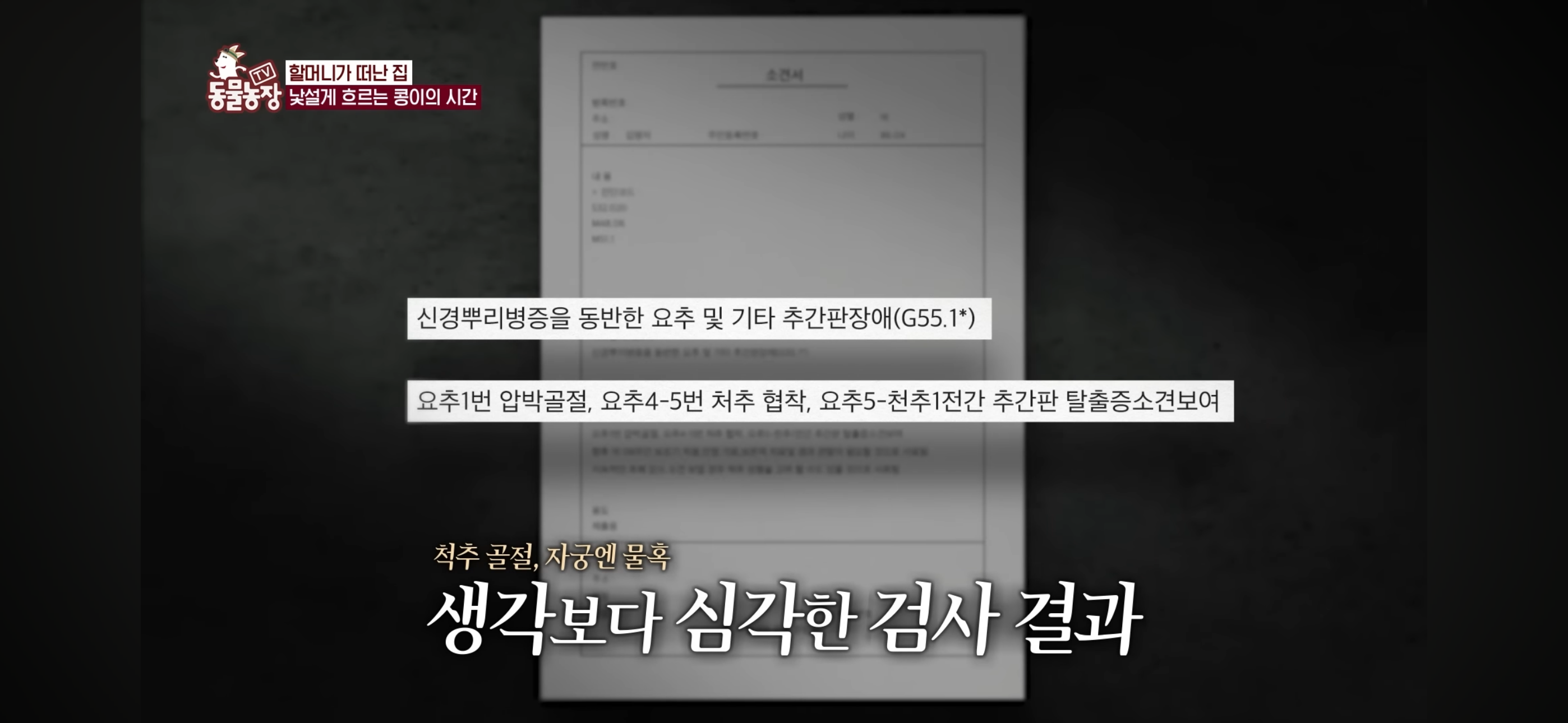 [동물농장]-87세-할머니가-병원-치료를-거부한-이유-65-이미지