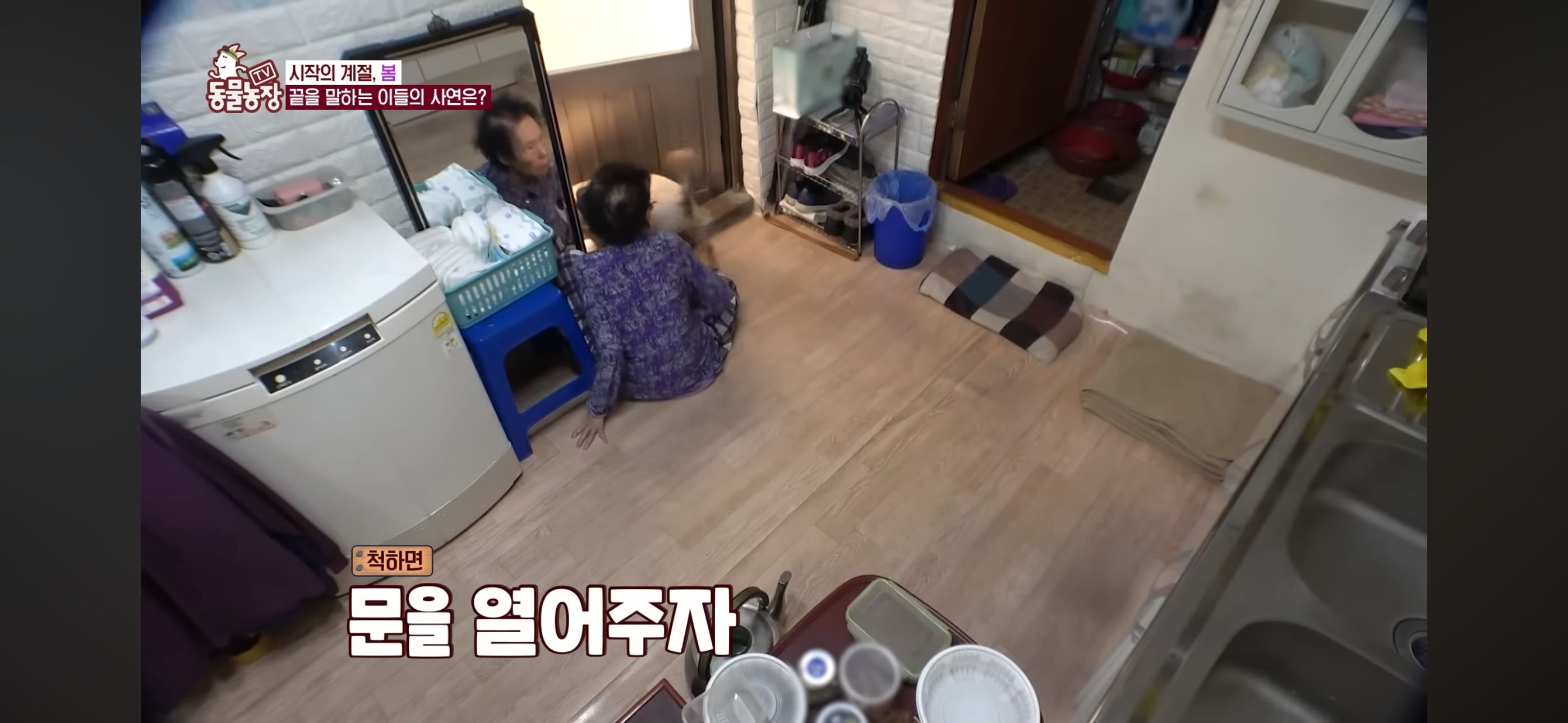 [동물농장]-87세-할머니가-병원-치료를-거부한-이유-21-이미지