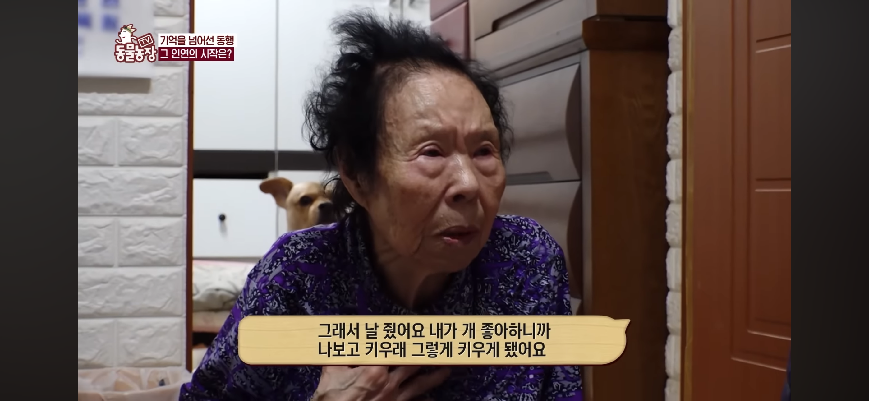 [동물농장]-87세-할머니가-병원-치료를-거부한-이유-31-이미지