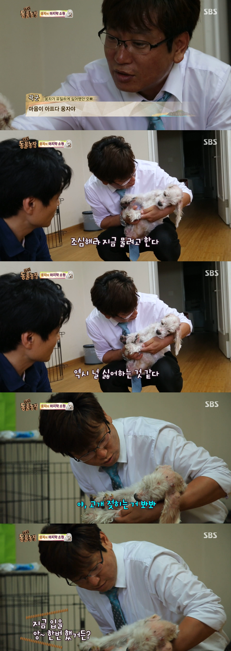 동물농장이-낳은-스타강아지-웅자,-그-후의-이야기-25-이미지