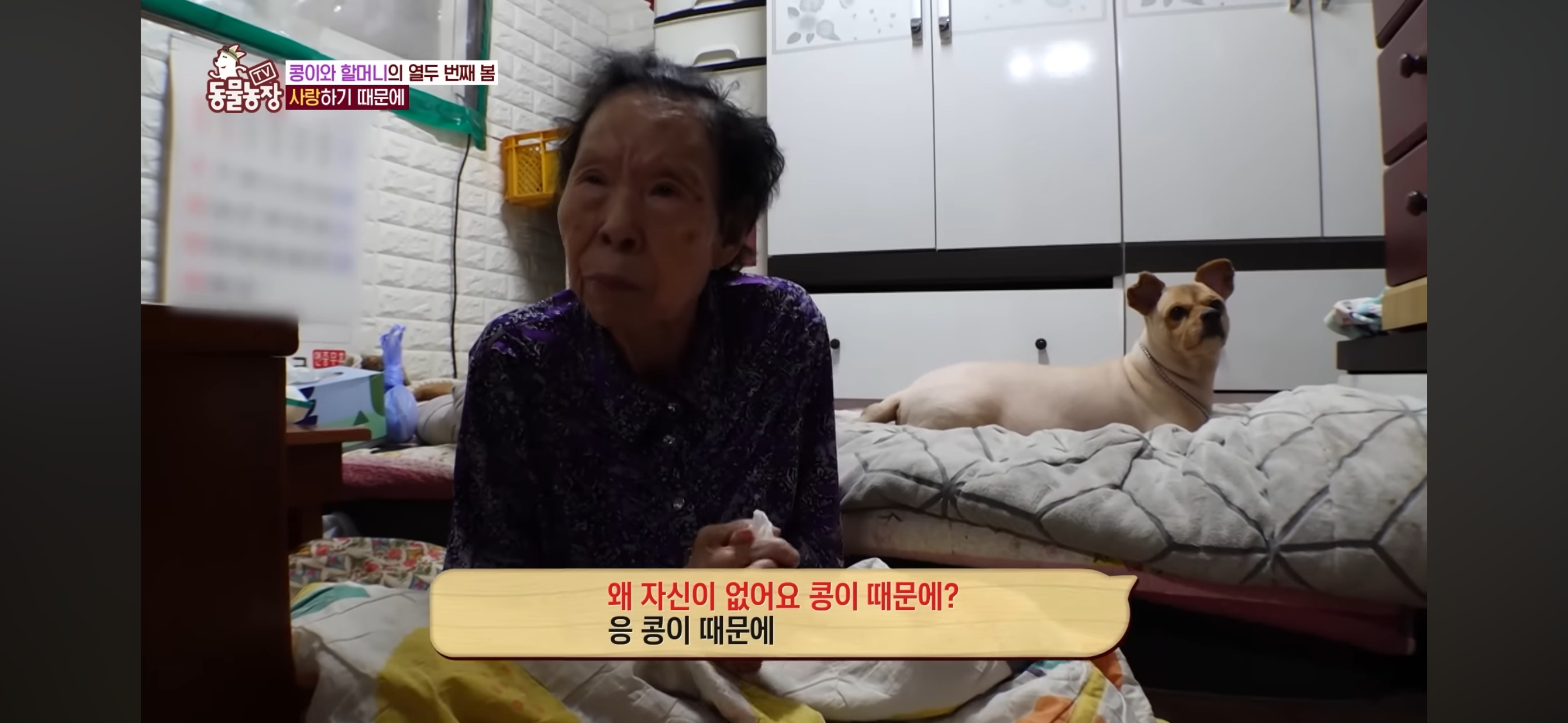 [동물농장]-87세-할머니가-병원-치료를-거부한-이유-52-이미지