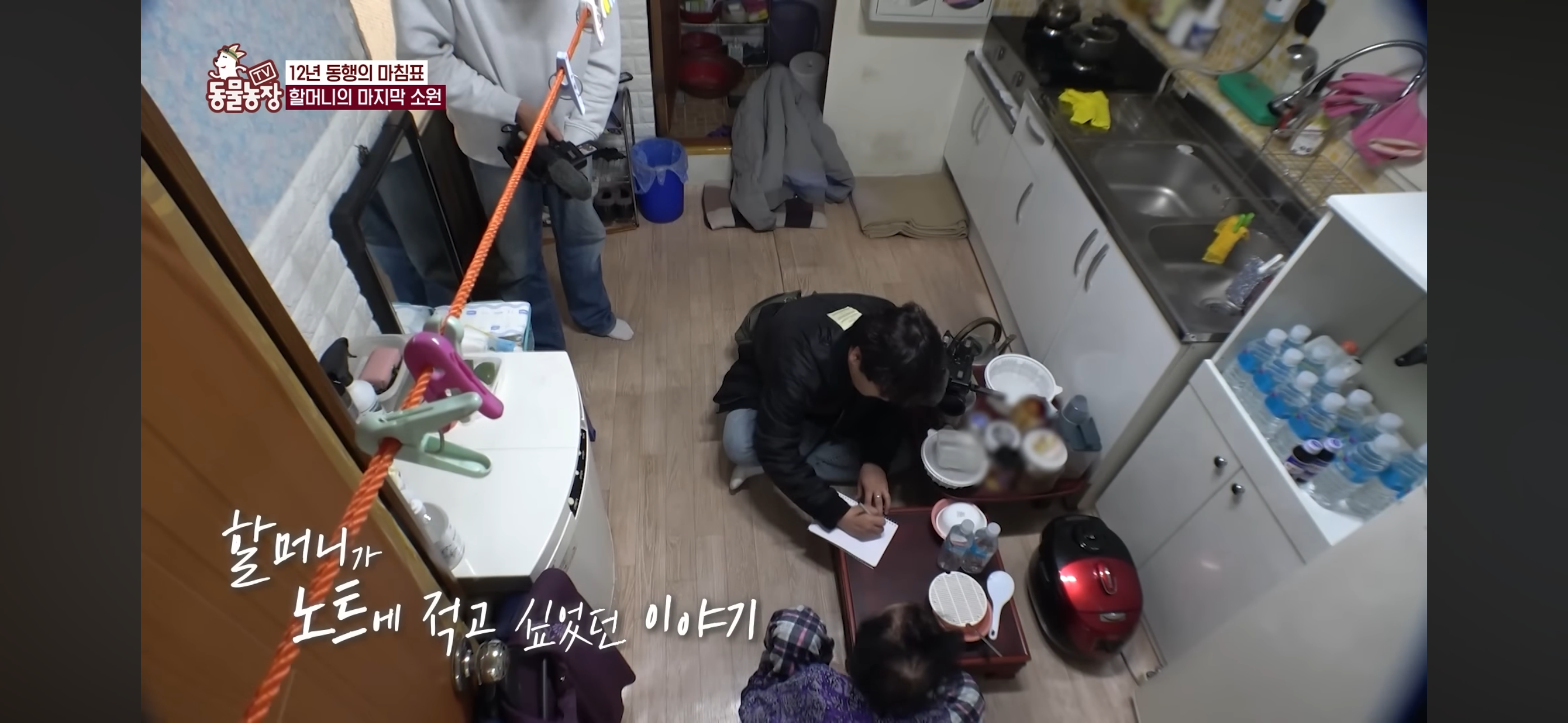 [동물농장]-87세-할머니가-병원-치료를-거부한-이유-72-이미지