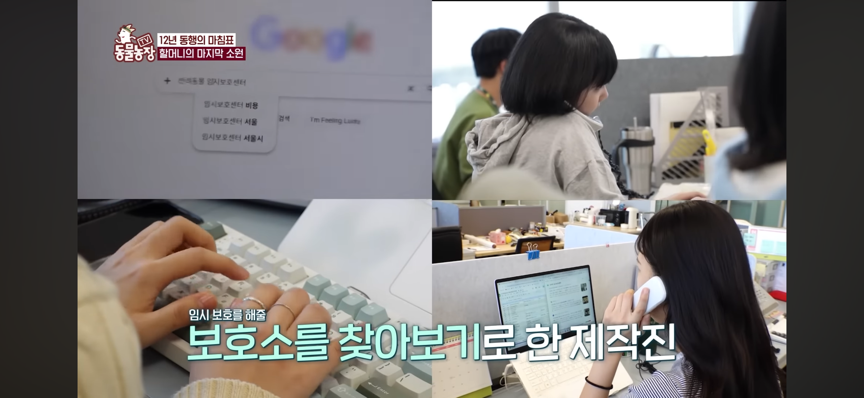 [동물농장]-87세-할머니가-병원-치료를-거부한-이유-82-이미지