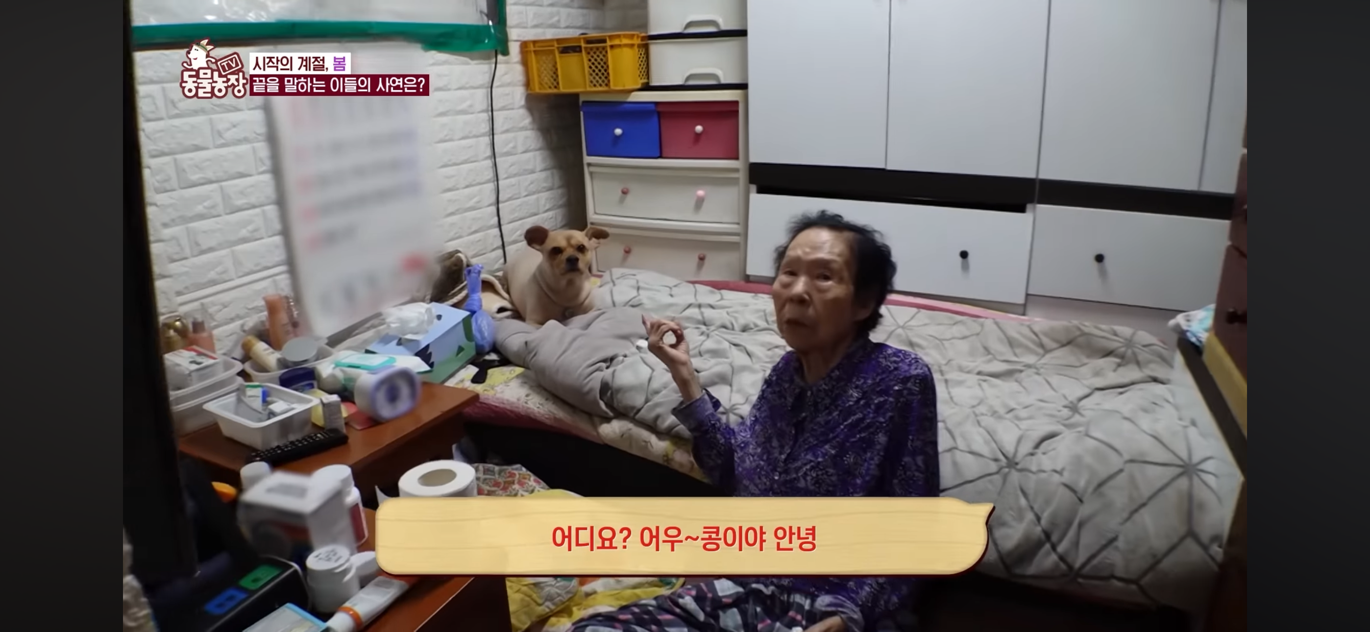 [동물농장]-87세-할머니가-병원-치료를-거부한-이유-3-이미지