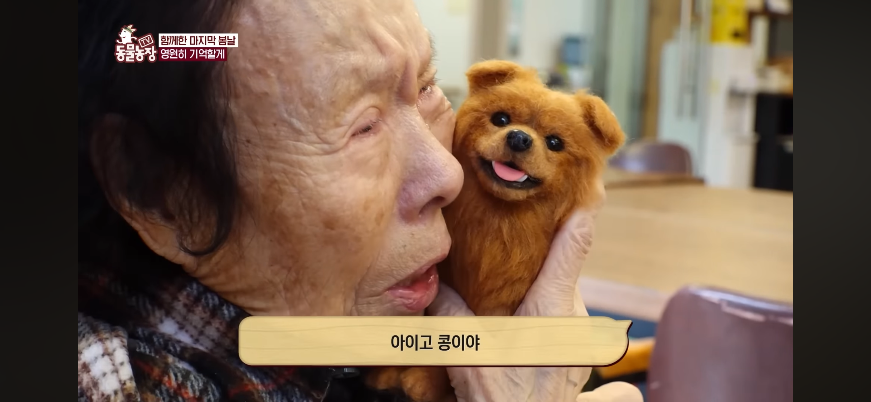 [동물농장]-87세-할머니가-병원-치료를-거부한-이유-95-이미지