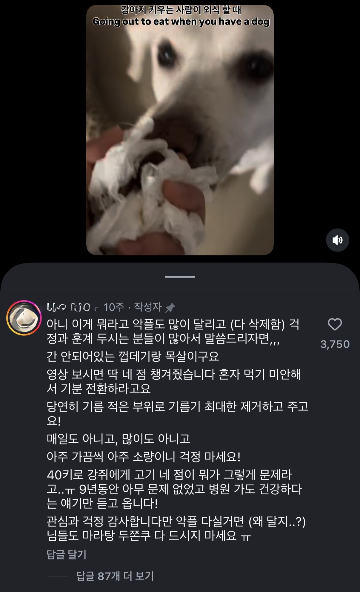 어떤사람이-자기반려견에게-고기를-줬는데-3-이미지